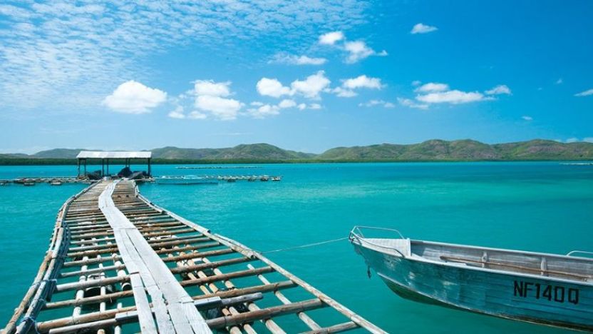 Friday Island